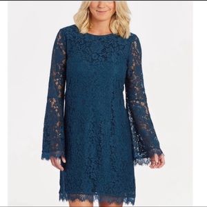 Braeve Sophia Lace Dress (Evereve) Size L NWT